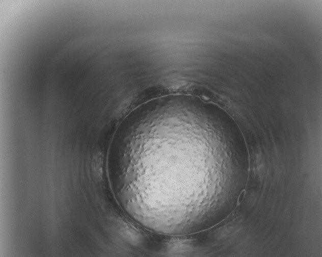 X0000068300664200604281711