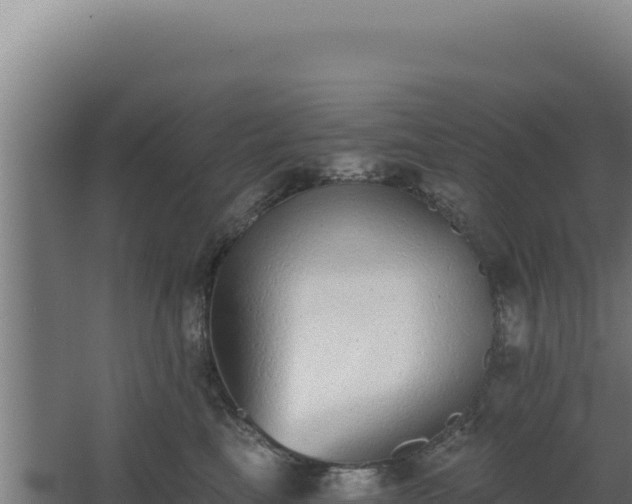 X0000068300665200604281711