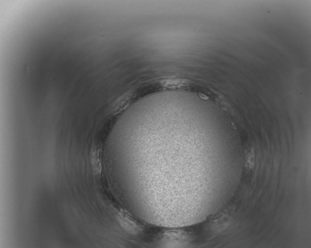 X0000068300666200604281711