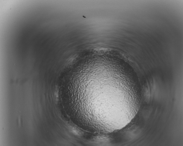 X0000068300668200604281711