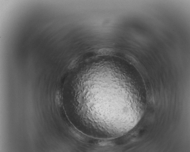 X0000068300669200604281711