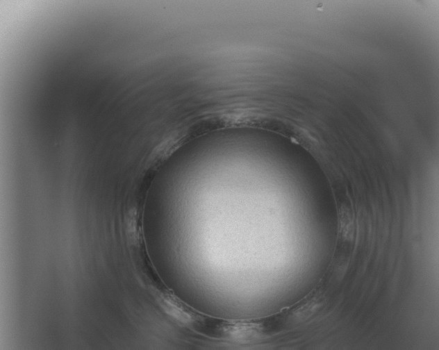 X0000068300670200604281711