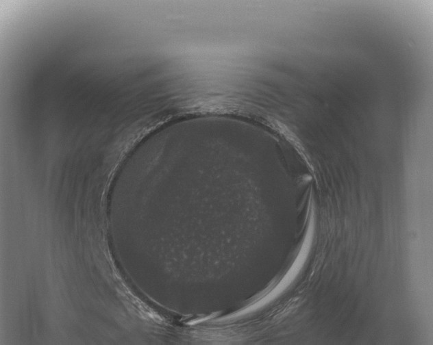 X0000068300673200604281710