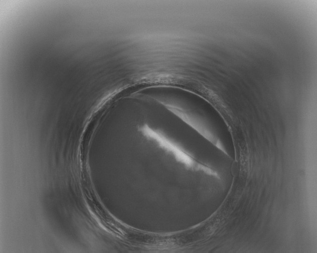 X0000068300674200604281710