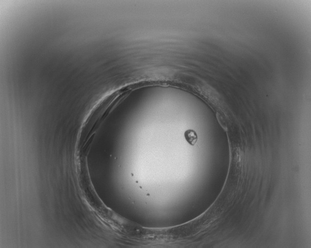 X0000068300676200604281710