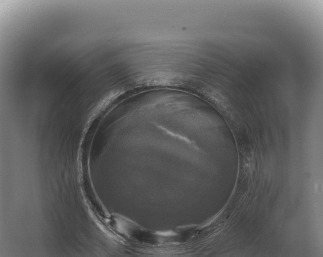 X0000068300678200604281710