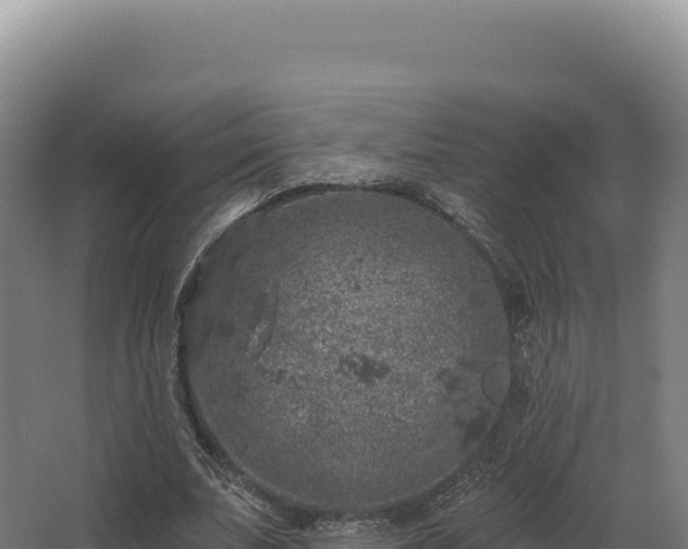 X0000068300679200604281710