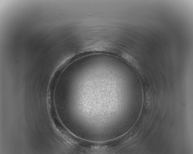 X0000068300680200604281710