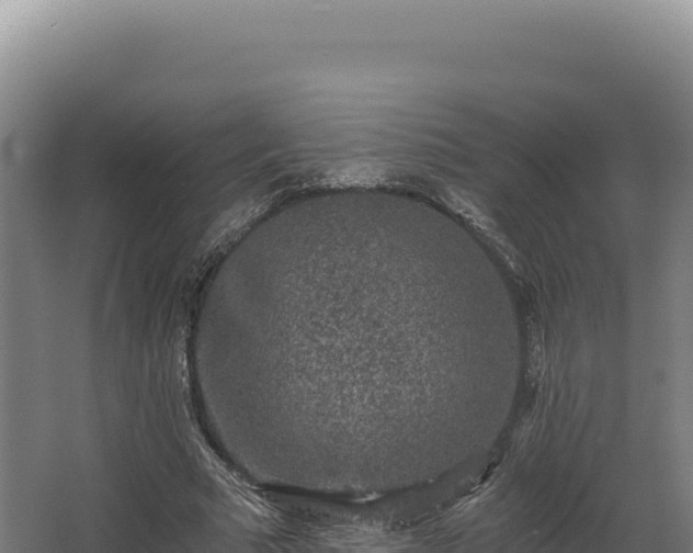 X0000068300681200604281710