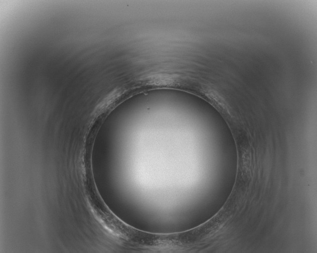 X0000068300682200604281710