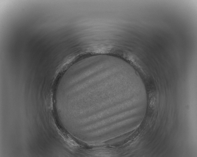 X0000068300685200604281710