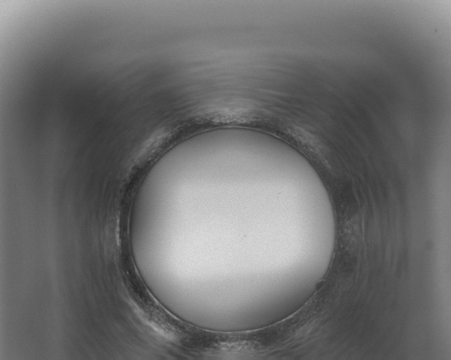 X0000068300686200604281710