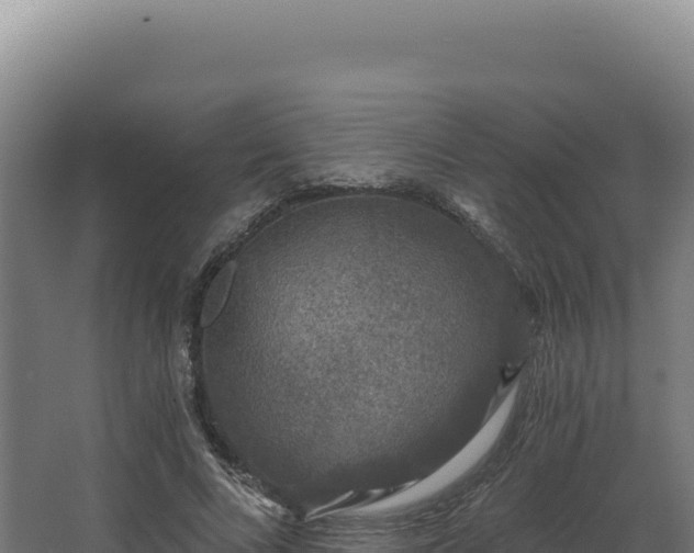 X0000068300688200604281710