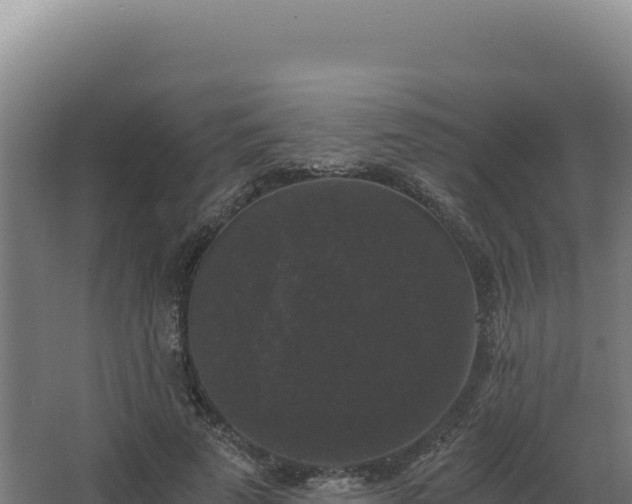 X0000068300689200604281710