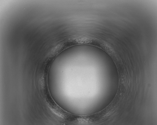 X0000068300690200604281710