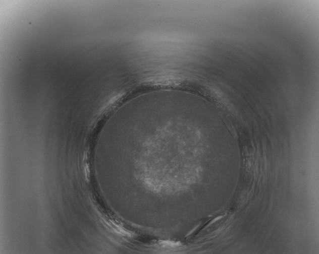 X0000068300692200604281710