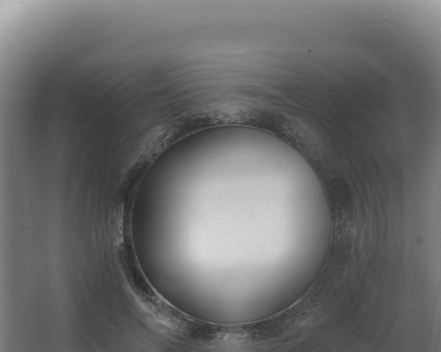 X0000068300694200604281710