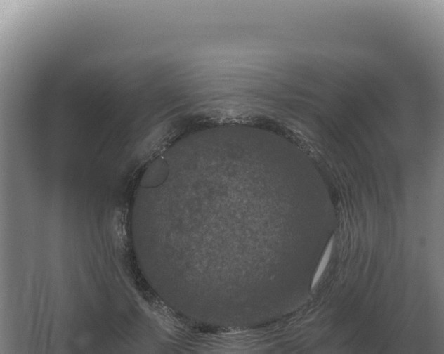 X0000068300695200604281710