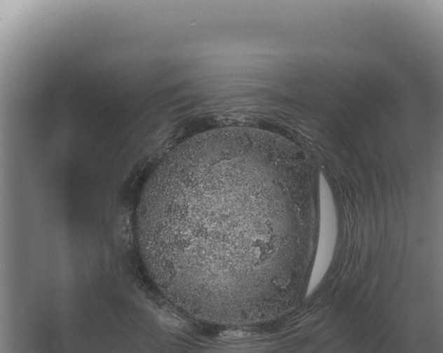 X0000068300699200604281710