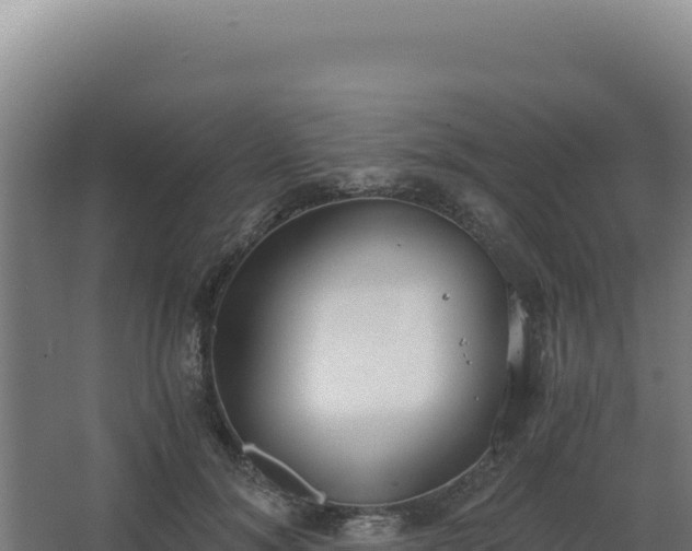 X0000068300700200604281710