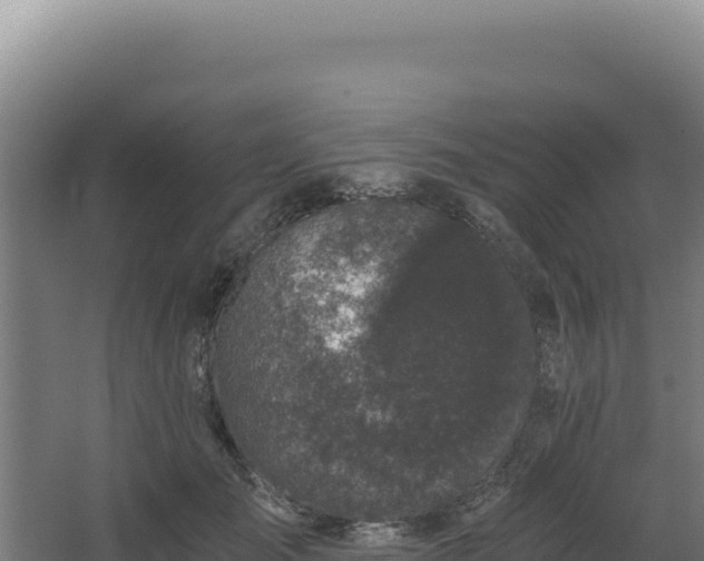 X0000068300701200604281710