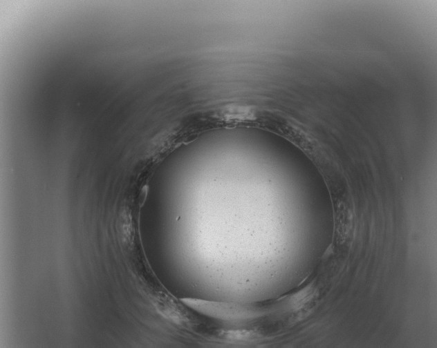 X0000068300704200604281710