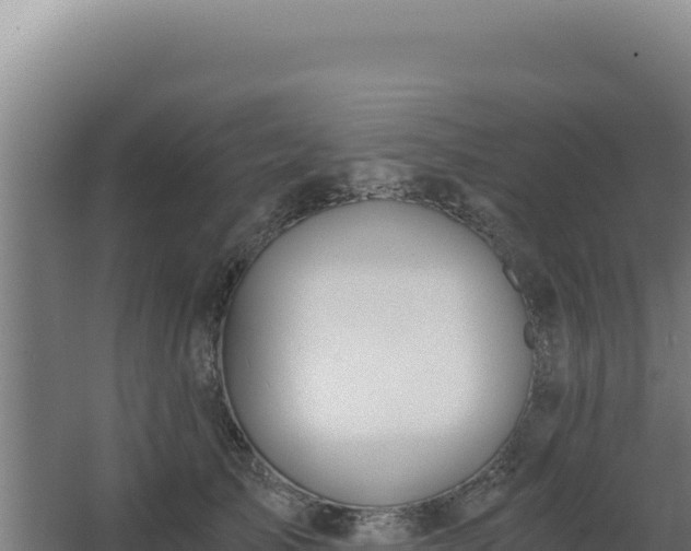 X0000068300705200604281710