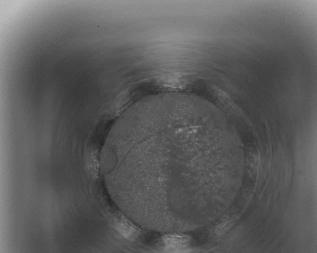 X0000068300707200604281709