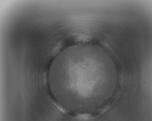 X0000068300708200604281709