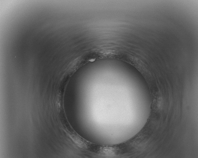 X0000068300710200604281709