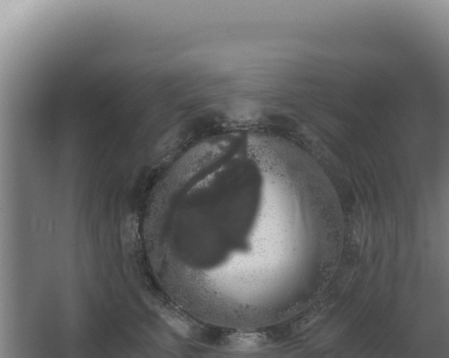 X0000068300711200604281709