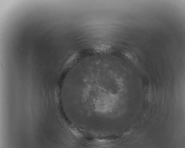 X0000068300712200604281709