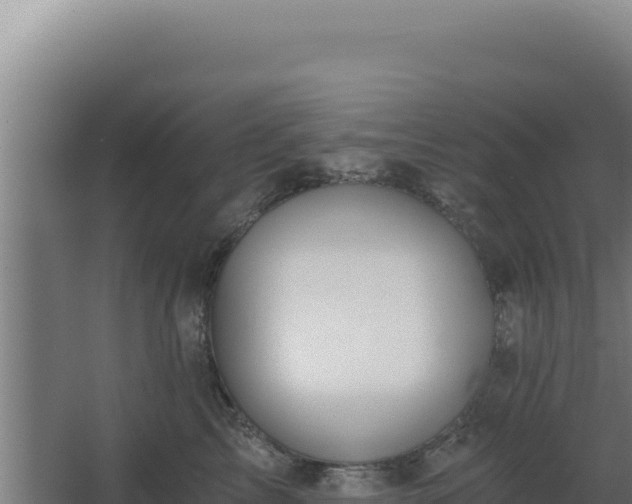 X0000068300713200604281709