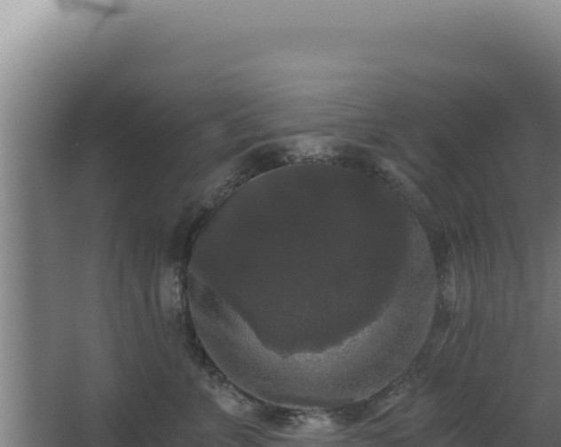 X0000068300715200604281709