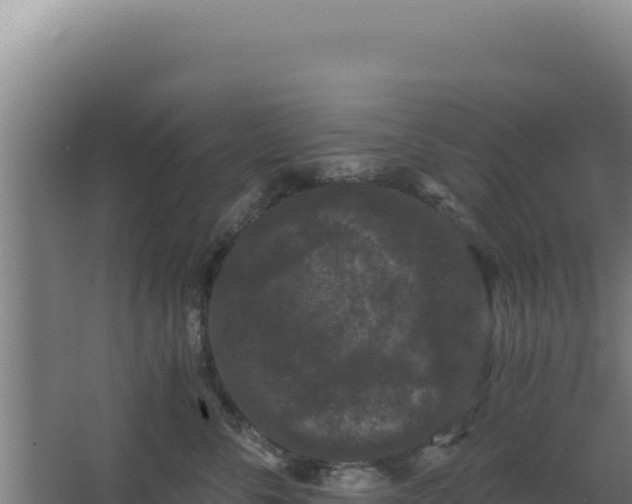 X0000068300716200604281709