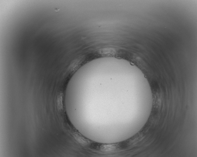 X0000068300717200604281709