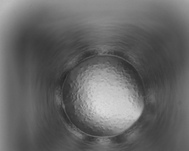 X0000068300719200604281709