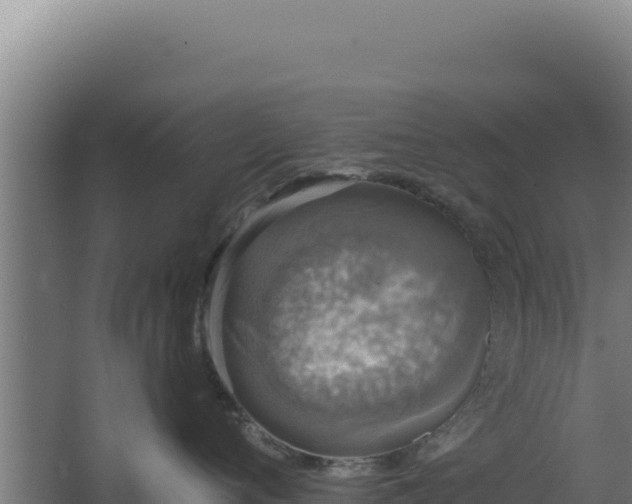 X0000068300720200604281709