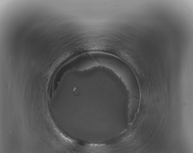 X0000068300721200604281708