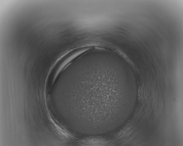 X0000068300722200604281708