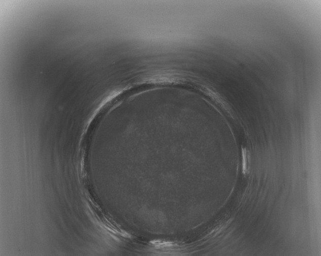 X0000068300723200604281708