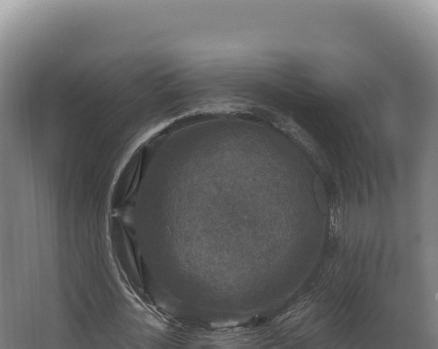 X0000068300724200604281709