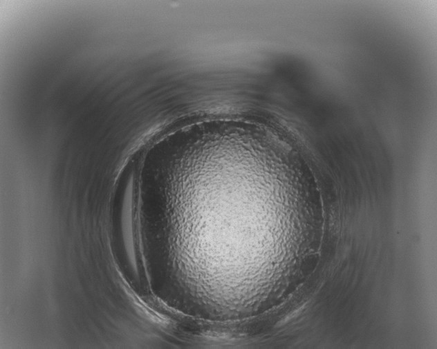 X0000068300725200604281709