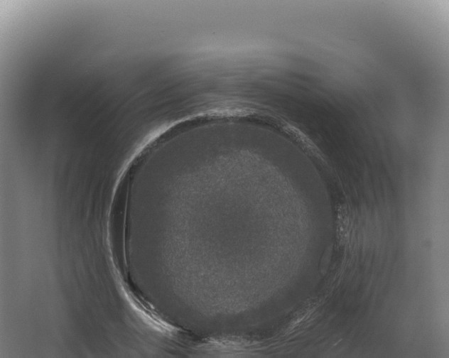 X0000068300726200604281709