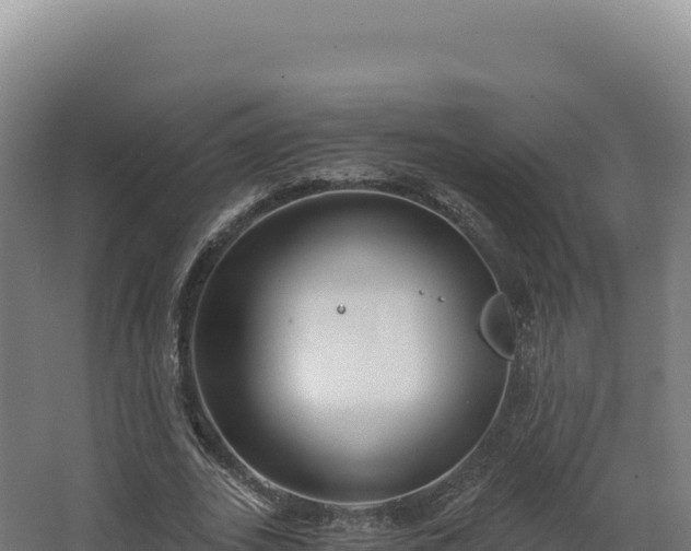 X0000068300727200604281709