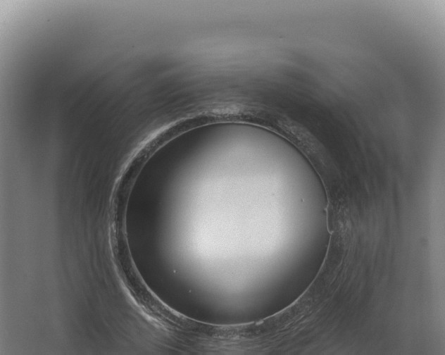 X0000068300728200604281709