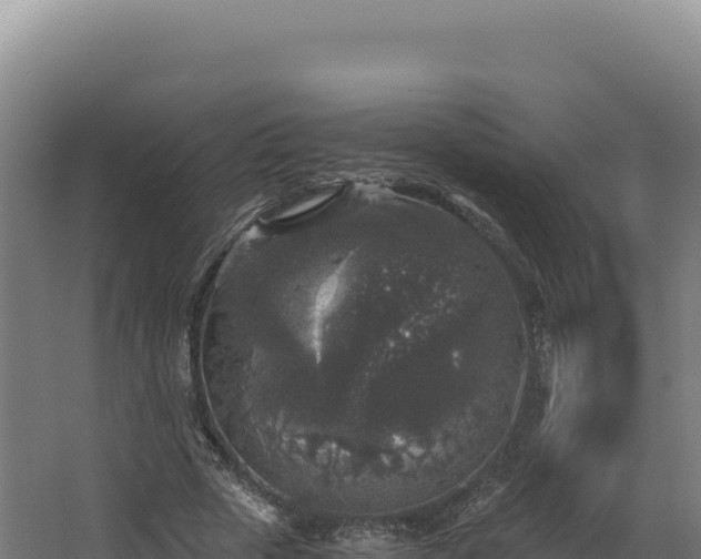 X0000068300729200604281709