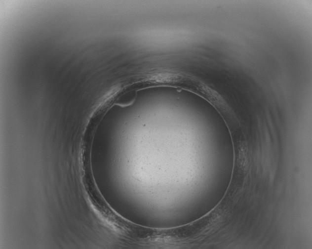 X0000068300730200604281709