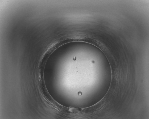 X0000068300731200604281709