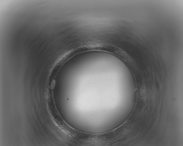 X0000068300732200604281709